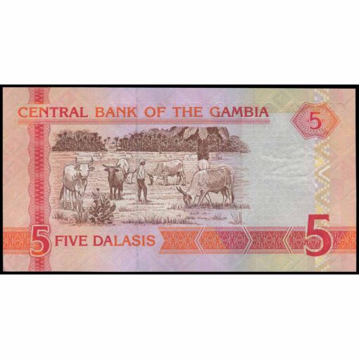 Gambia - P25c - 5 Dalasis - Imagen 2