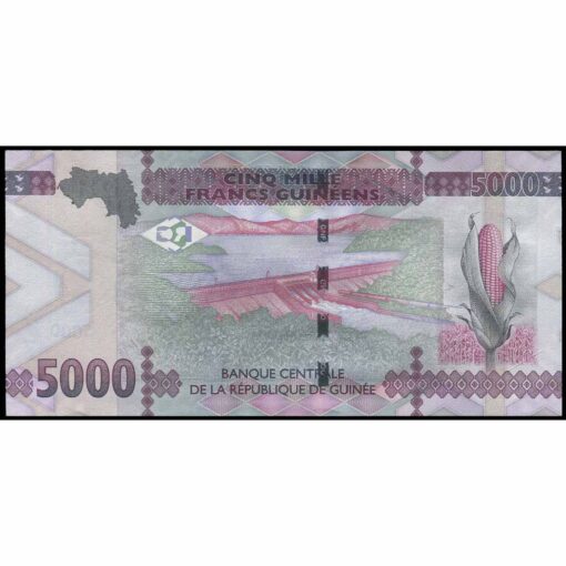 Guinea - P49c - 5.000 Francs - Imagen 2