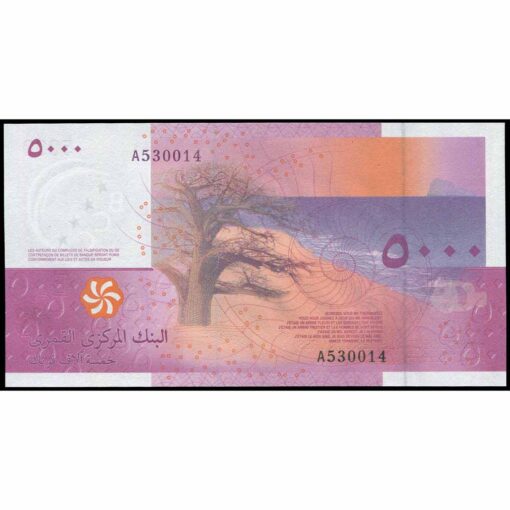 Comoras - P18a - 5.000 Francs - Imagen 2