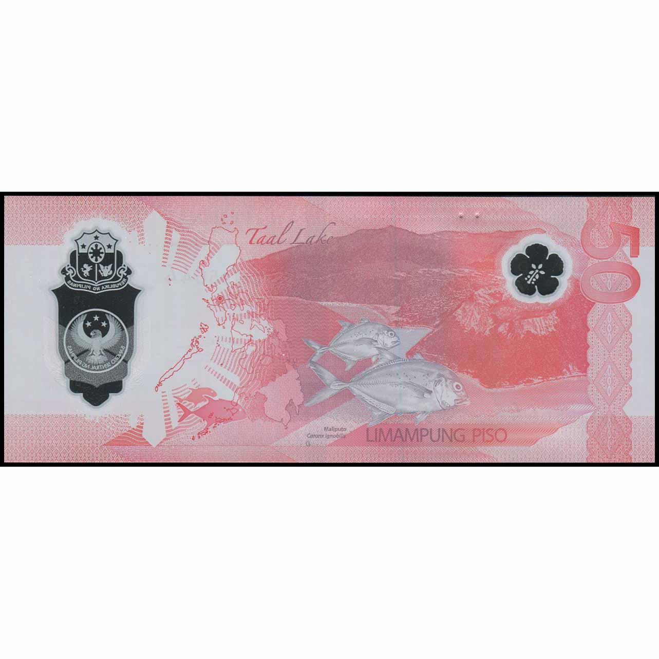 Filipinas - W237b - 50 Piso - Imagen 2
