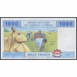 Alternative view of Estados de África Central - P607C_e - 1.000 Francs