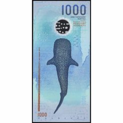 Alternative view of Maldivas - P31 - 1.000 Rufiyaa